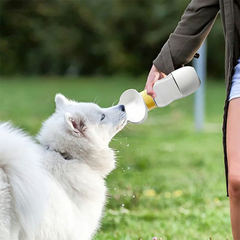 dog water bottle